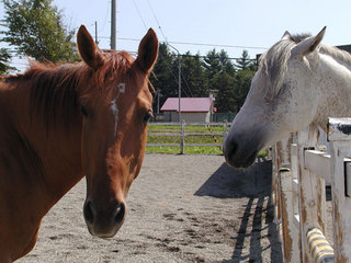 060814-2.jpg
