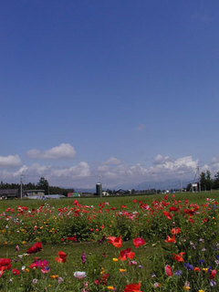 060814-3.jpg