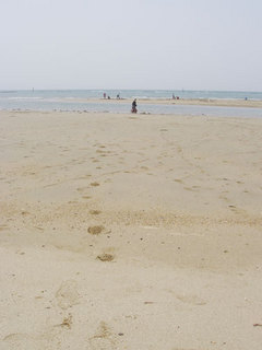 070526-2.jpg