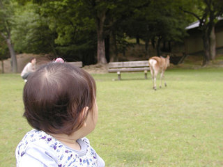 070603.jpg