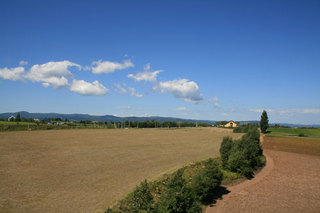 070828-2.jpg