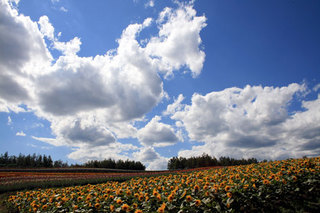 070828-5.jpg