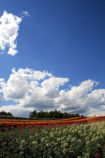 070828-6.jpg