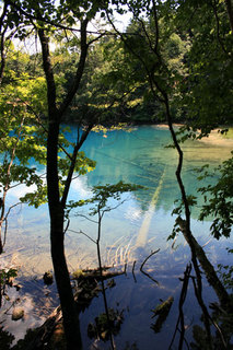 070829-1.jpg