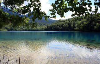 070829-2.jpg