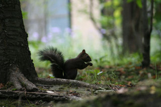 070831-1.jpg