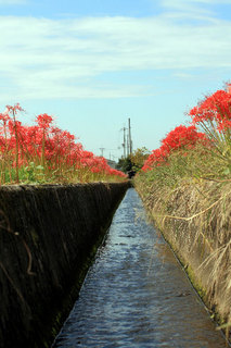 071010-3.jpg