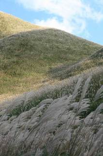 071020-4.jpg