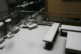 080209-1.jpg