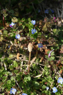 080316-1.jpg