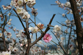 080316-2.jpg