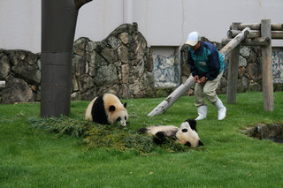 080505-2.jpg