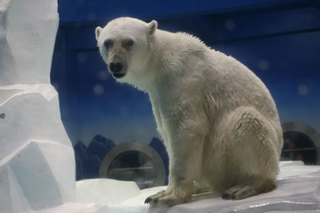 080505-4.jpg