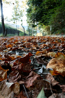 081019-3.jpg