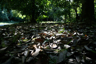 081019-4.jpg