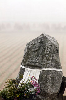 081117-2.jpg