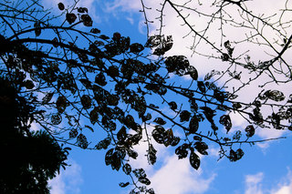 081201-1.jpg