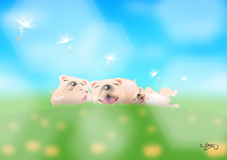 086Dream Flight.jpg