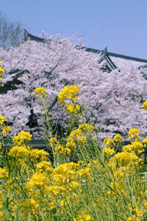 090407.jpg