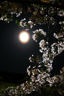 090409.jpg