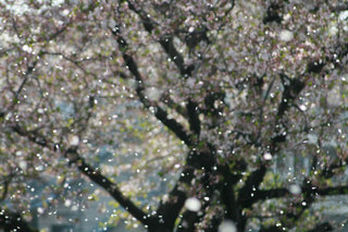 090412.jpg