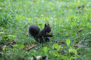 090826-2.jpg