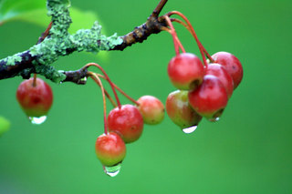 090828-3.jpg