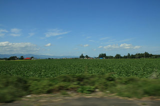 090829-1.jpg