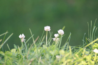090829-3.jpg