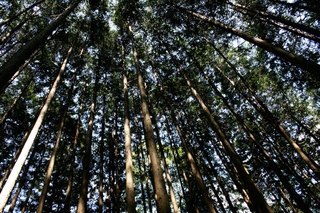 090906-2.jpg