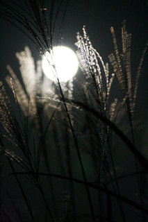 091004-2.jpg