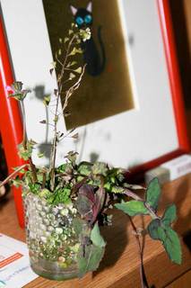 100314-3.jpg