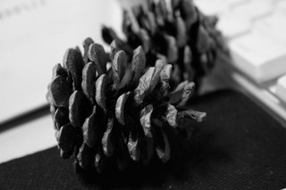 100317-1.jpg