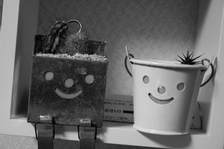 100317-3.jpg
