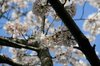 100404-2.jpg