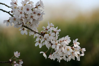 100404-3.jpg