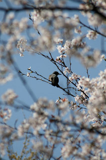 100404-4.jpg