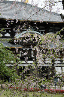 100420-1.jpg