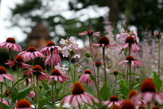100812-1.jpg