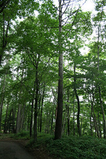 100812-4.jpg