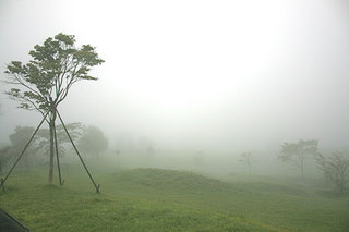 100812-7.jpg