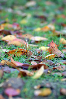 101106-2.jpg