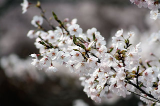 120415-1.jpg