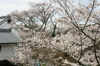 120415-2.jpg