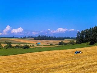 120812-1.jpg