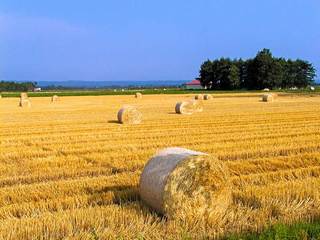 120812-2.jpg