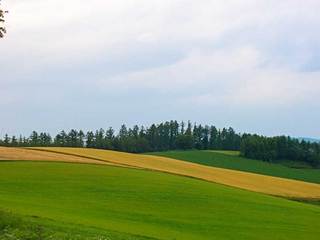 120812-4.jpg