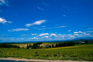 120812-7.jpg