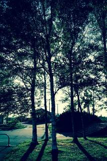 120812-9.jpg
