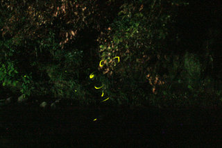130622-1.jpg